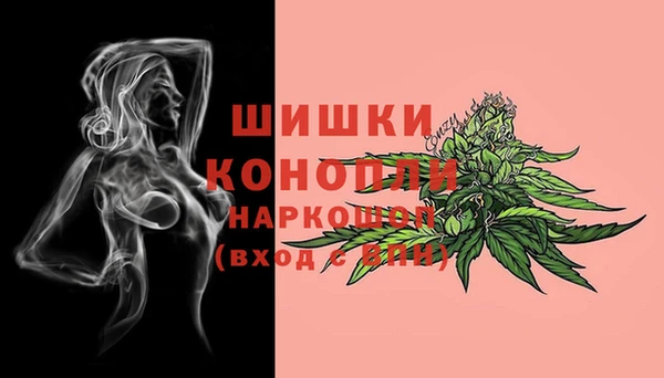 ALPHA PVP Бикин
