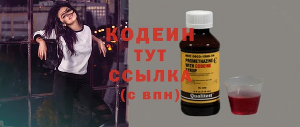 молекула духа Бородино